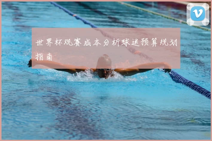 世界杯观赛成本分析球迷预算规划指南