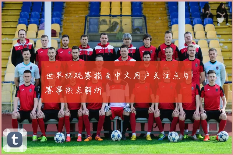 世界杯观赛指南中文用户关注点与赛事热点解析