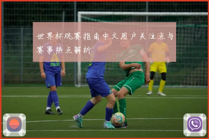 世界杯观赛指南中文用户关注点与赛事热点解析