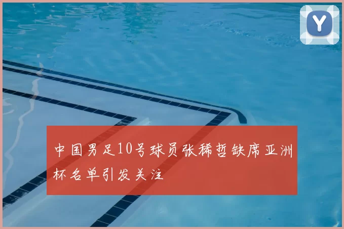 中国男足10号球员张稀哲缺席亚洲杯名单引发关注